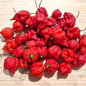 Piments 'Carolina reaper', Piment Faucheuse de la Caroline, graines de piments Carolina reaper, graines piment Faucheuse de la Caroline