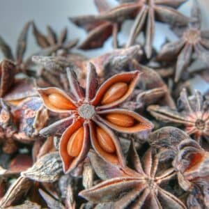 Graines d'Illicium verum, Fruits et graines de Badianier de Chine, Semences d'Anis étoilé