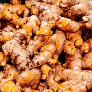 Racines de curcuma, rhizomes curcuma, épices de curcuma, racines Turmeric, racines safran des indes
