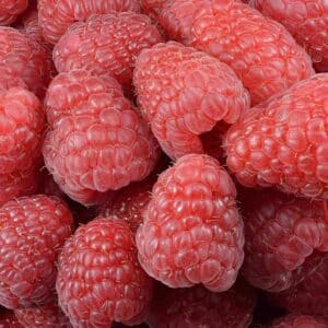 Graines de Rubus idaeus, Graines de Framboisier