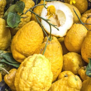 Citrus medica, Cédrats, fruits de Citrus medica, graines Citrus medica, graines cédratier