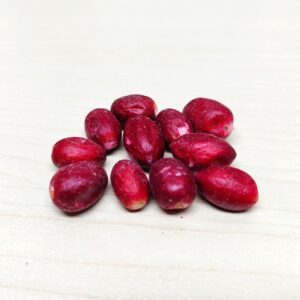 Baies du miracle lyophilisées, Synsepalum dulcificum lyophilisé, fruit miracle à consommer, baie du miracle à consommer, acheter fruit miracle