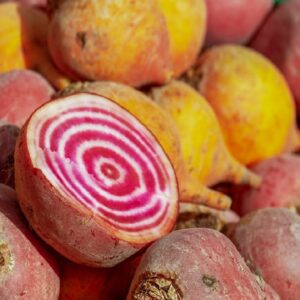 Graines de Beta vulgaris, Récolte de Betterave ronde De Chioggia rouge, Graines de Betterave ronde de Chioggia rouge