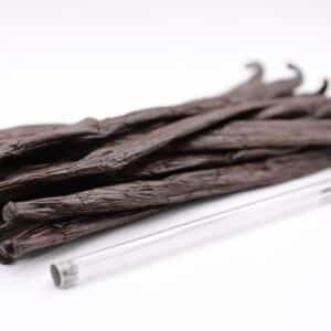 Vanilla tahitensis - Gousses de Vanille de Tahiti (CC BY 4.0 - le Comptoir de Toamasina)