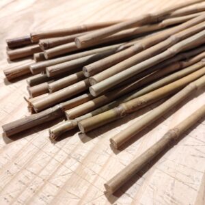 Tuteurs en bambou, Tuteurs en bambou pour plantes, Support pour plantes, tige en bambou, tuteurs pour plantes