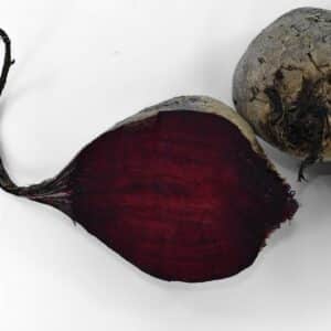 Coupe de Betterave Rouge plate d'Egypte ou Beta vulgaris 'Rouge d'Egypte', Graines de Betteraverouge d'Egypte, Graines de Betterave rouge plate d'Egypte