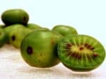 Détails d'un fruit d'Actinidia arguta, Coupe d'un Kiwaï, Graines d'Actinidia arguta, Graines de Kiwaï