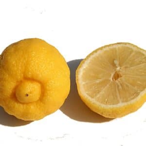 Pulpe d'un fruit de Citrus × limetta, Coupe d'une Lime douce, Graines de Citrus × limetta, Graines de Lime douce, Graines de Limettier
