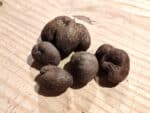 Tubercules de Dioscorea alata, Rhizomes d'Igname ailée, Tubercules d'Igname ailée
