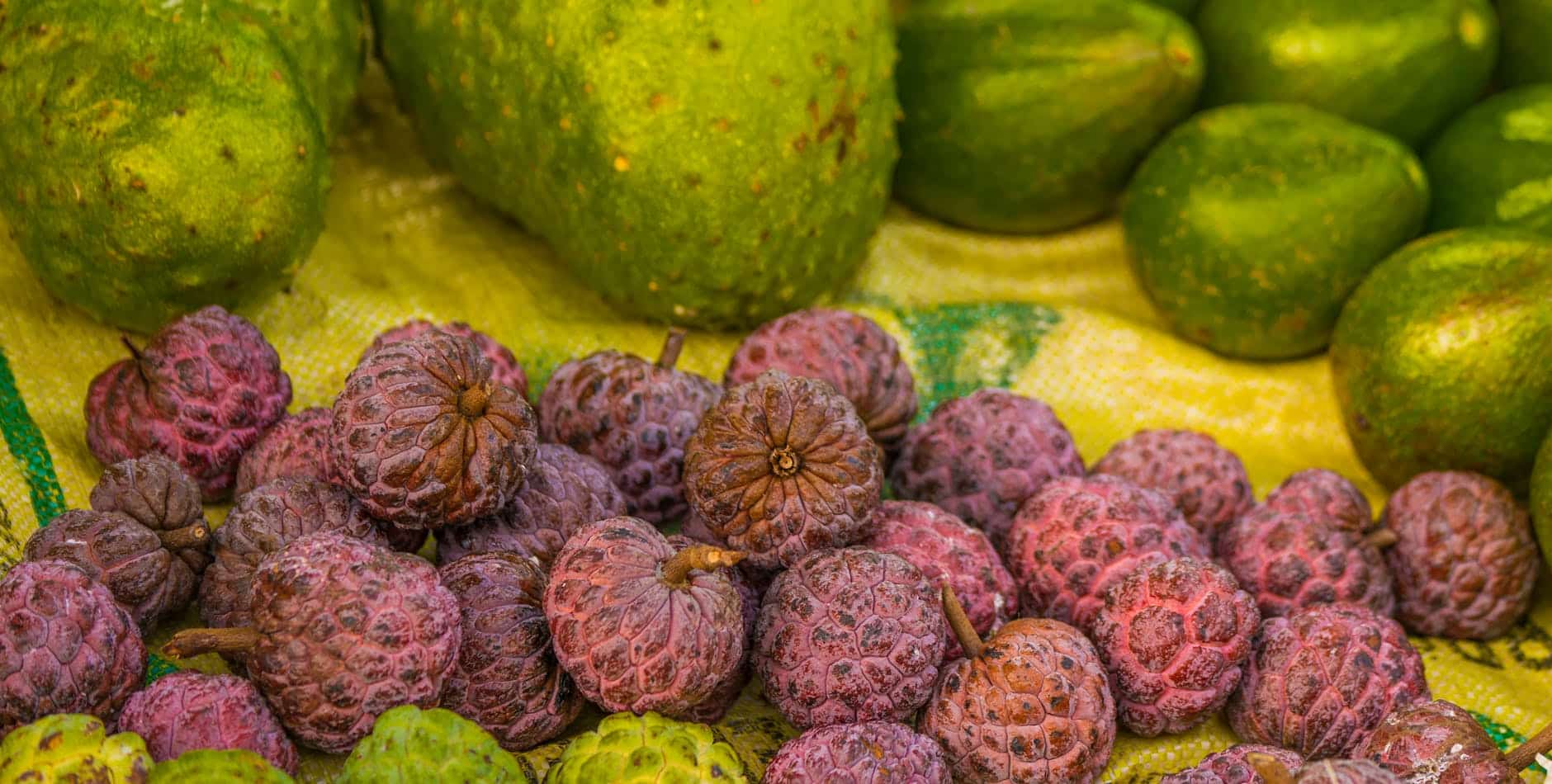 fresh round fruits on a yellow surface