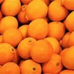 Récolte de Citrus × Tangelo ou Tangelo Minneola, Graines de Citrus × Tangelo, Graines de Tangelo Minneola