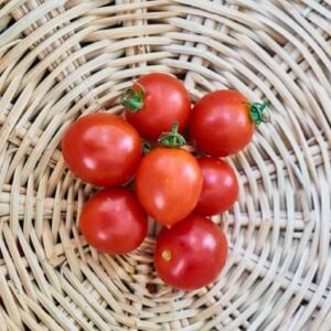 Graines de Tomate ‘Riesentraube’ - Graines de Solanum lycopersicum