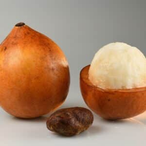 Détails d'un fruit de Garcinia humilis ou Achacha, Graines de Garcinia humilis, Graines de Bois-l'onguent, Graines d'Achacha