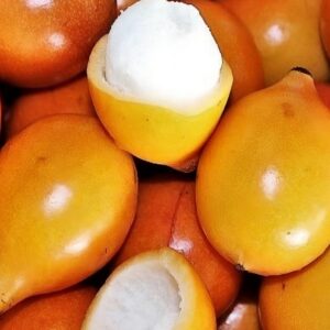 Détails d'un fruit de Garcinia humilis ou Bois-l'onguent, Récolte d'Achacha, Graines de Garcinia humilis, Graines de Bois-l'onguent