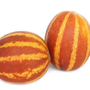 Graines de Cucumis melo 'Rich Sweetness' - graines de Melon Rich Sweetness