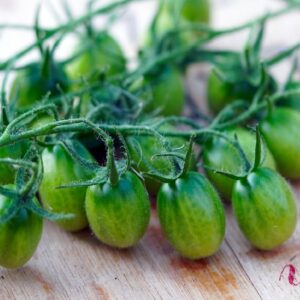 Graines de Solanum lycopersicum - graines de tomate 'Artisan Green Tiger'
