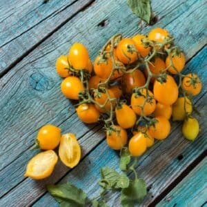 Graines de Solanum lycopersicum 'Citrina' - graines de Tomate citron