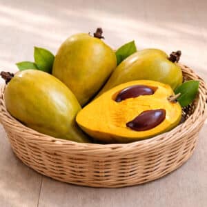 Lucuma campechiana, Fruits Canistel, Fruits et graines de Lucuma campechiana, Canistel frais, Fruits de Sapote Amarillo, Sapote Amarillo