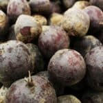Graines de Betterave Rouge d’Egypte, graines de Beta vulgaris ‘Rouge d’Egypte’