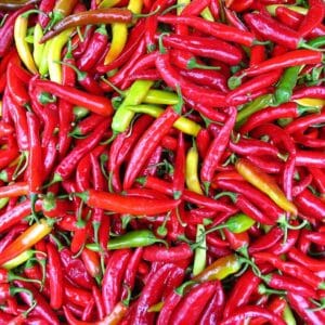 Graines de Capsicum annuum, graines de Piment 'Thaï Hot'