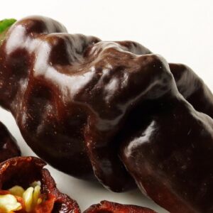 Graines de Capsicum chinense, graines de Piment 'Naga Dorset Chocolat'