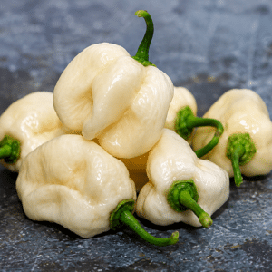 Graines de Capsicum chinense, graines de Piment Habanero blanc