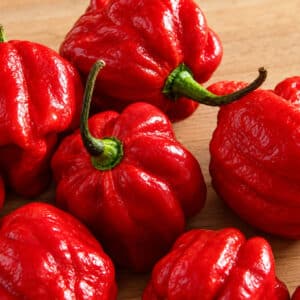 Graines de Capsicum chinense, graines de Piment Trinidad Scorpion rouge, Piment Trinidad Scorpion