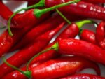 Graines de Capsicum anuuum, graines de Piment de Cayenne
