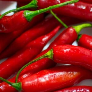 Graines de Capsicum anuuum, graines de Piment de Cayenne