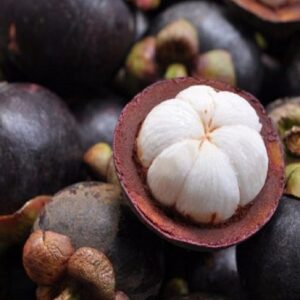 Garcinia mangostana - Fruits